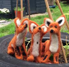 FoxSchool15
